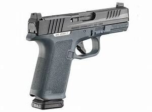 Ruger RXM Pistol